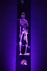 Geethanjali Audio Launch